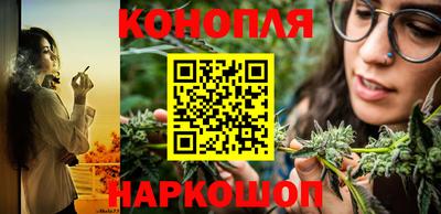 шишки Партизанск