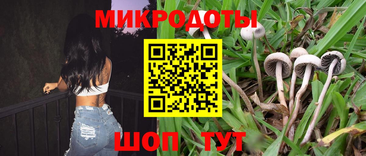 Псилоцибиновые грибы Psilocybe  где купить   Галлюциногенные грибы Psilocybine cubensis  Сертолово  Вход с VPN 